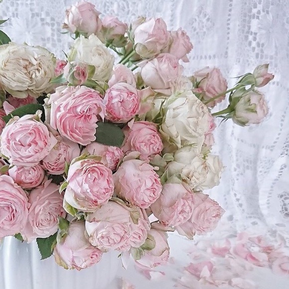 Meet your Posher, Julianne - Picture 1 of 1